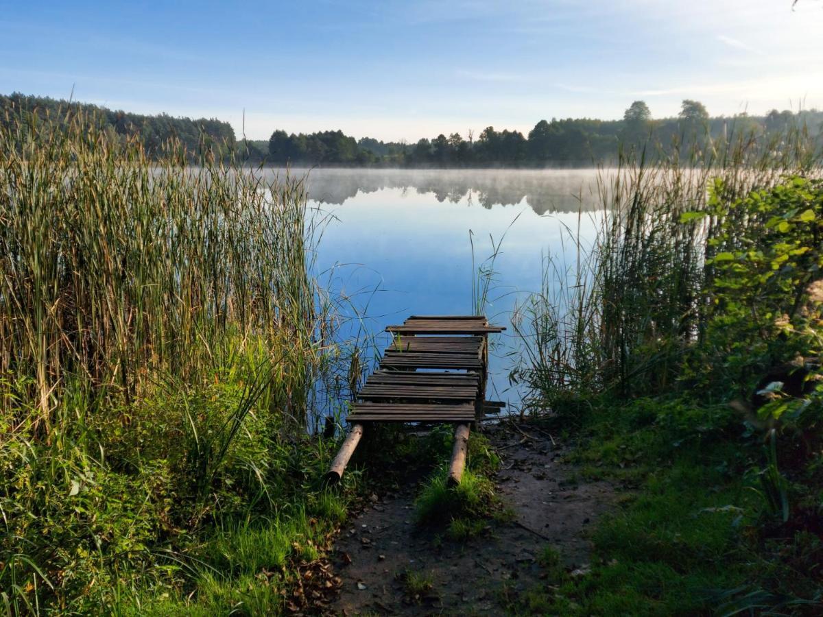 Dom Przy Lesie Villa Wielgie Exteriör bild