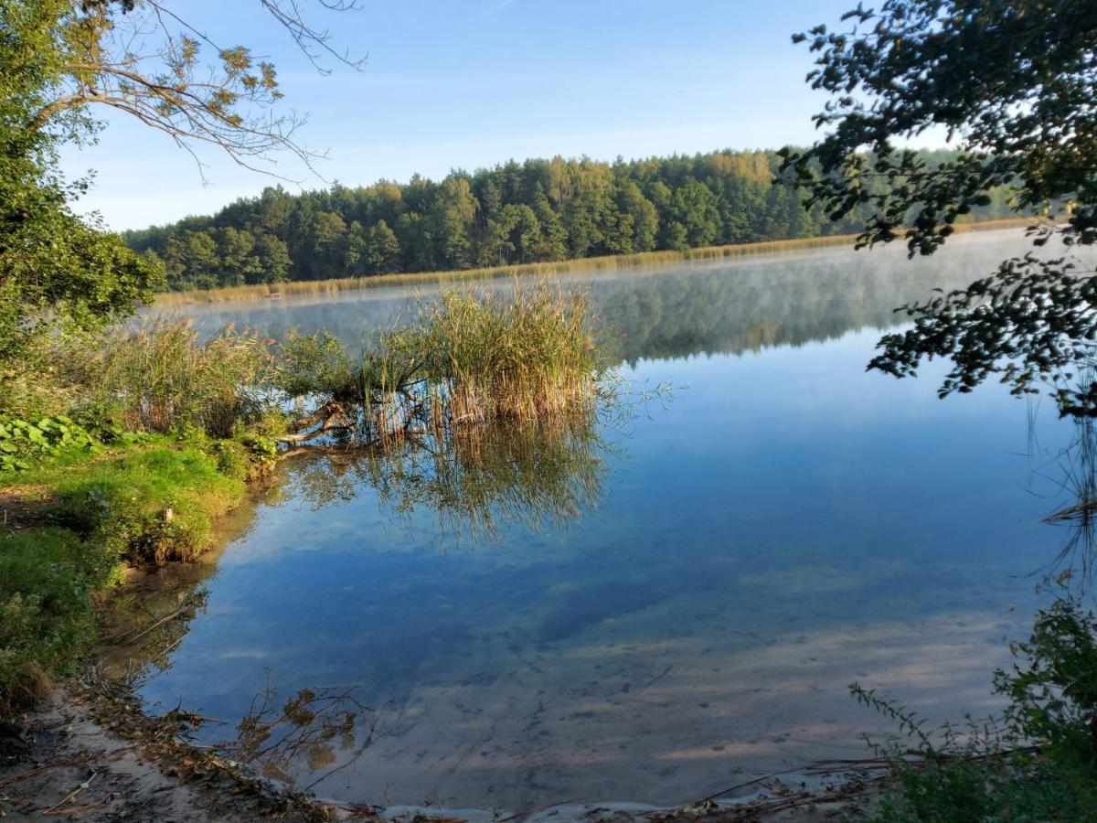Dom Przy Lesie Villa Wielgie Exteriör bild
